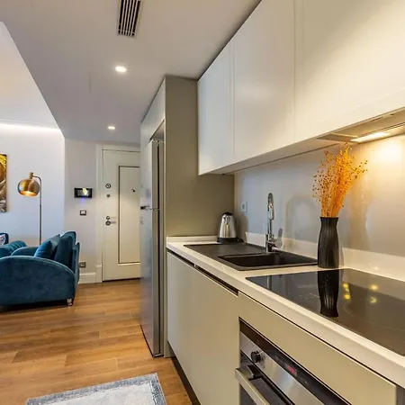 Trendy Beyoglu: Stylish Nearby Daire İstanbul